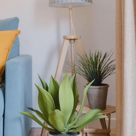 Acogedor En Apartamento