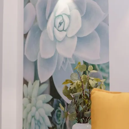 Acogedor En Apartamento