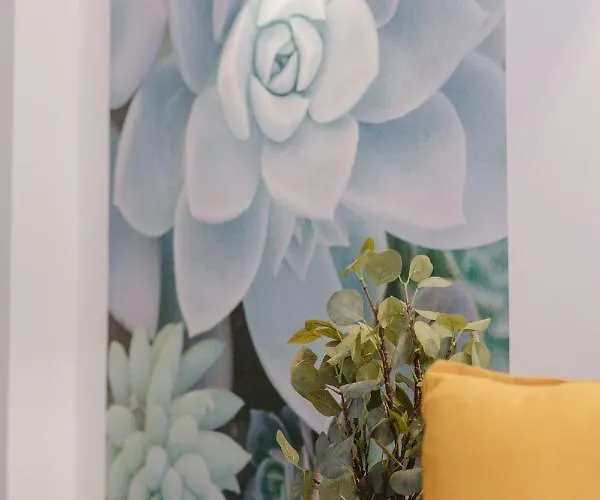 Acogedor En Appartamento